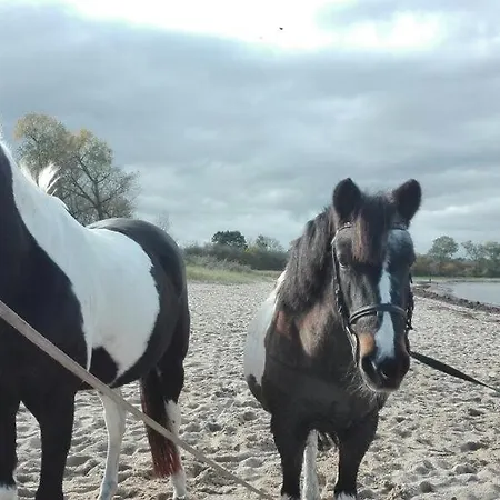 Gutshaus Lejlighed *