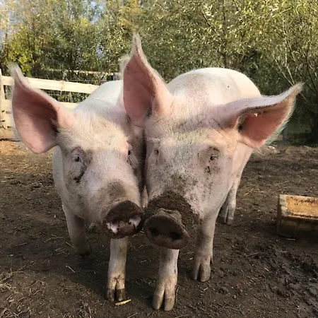 Gutshaus Lejlighed Gramkow