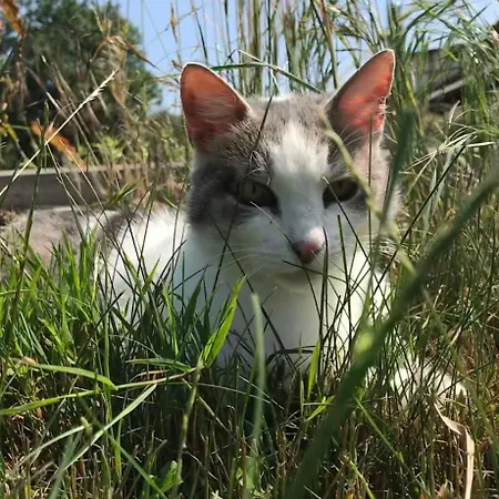 Lejlighed Gutshaus Gramkow