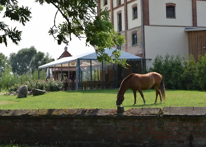 公寓 克拉姆科菲林安格旅馆 Gramkow